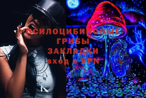 прущие крисы Бронницы