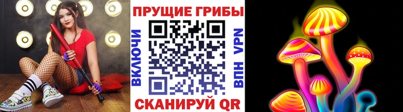 Галлюциногенные грибы Psilocybine cubensis  Новохопёрск 