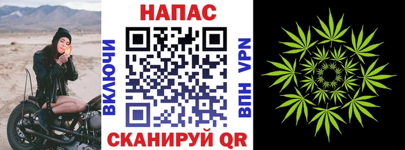 купить  цена  Новохопёрск  Марихуана план 